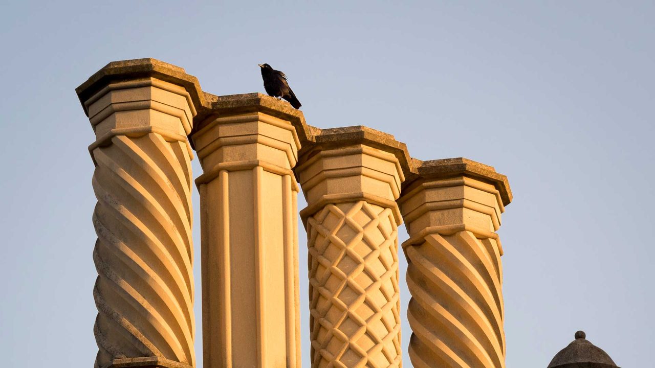 A bird rests atop one of the four chimney stacks over the Divinity School. Each of the chimneys is decorated with a different carved pattern.